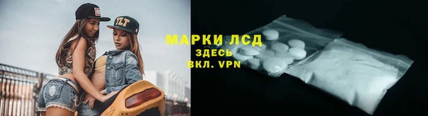 гашик Заволжье