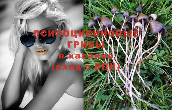 гашик Заволжье