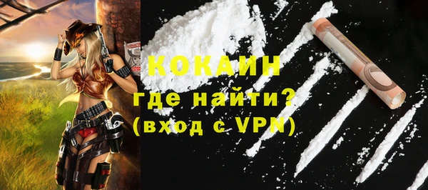 ПСИЛОЦИБИНОВЫЕ ГРИБЫ Заводоуковск