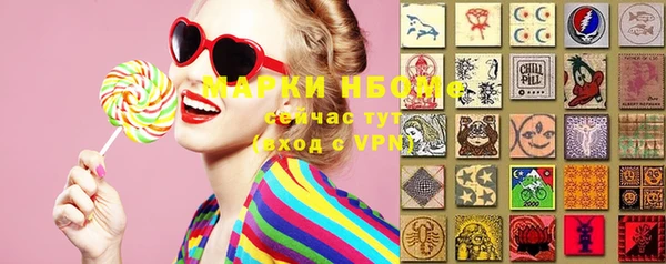 ПСИЛОЦИБИНОВЫЕ ГРИБЫ Заводоуковск
