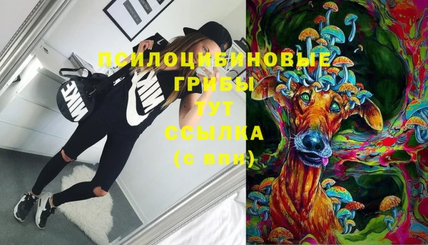 гашик Заволжье